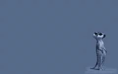 52389.webp