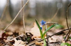 0004027.webp