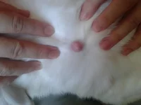 2013-05-18 11.38.13.webp