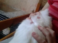 2013-05-18 11.38.20.webp