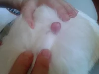 2013-05-18 11.38.28.webp