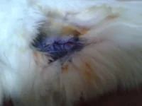 2013-05-18 17.30.00.webp