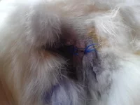 2013-05-20 16.06.56.webp