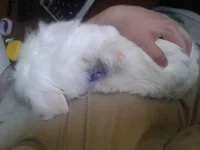 2013-05-20 16.10.59.webp