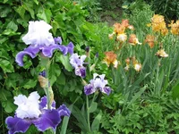 IMG_3180.webp