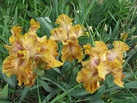 IMG_3189.webp