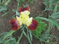 IMG_3192.webp