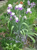 IMG_3237.webp