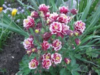 IMG_1976.webp