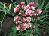 IMG_1977.webp