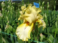 IMG_1681.webp