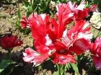 IMG_1684.webp