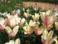 IMG_1704.webp
