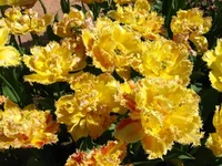 IMG_1706.webp