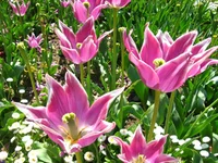 IMG_1708.webp