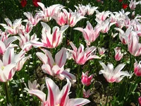 IMG_1709.webp