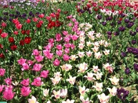 IMG_1720.webp
