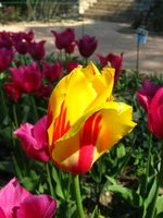 IMG_1728.webp