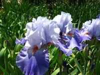 IMG_1739.webp