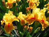 IMG_1745.webp