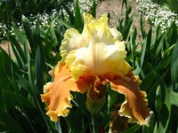 IMG_1753.webp