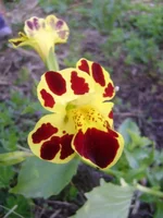 DSC04883.webp