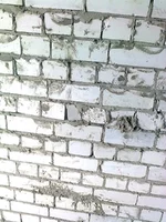 0095.webp