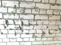 0096.webp
