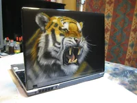 4.webp