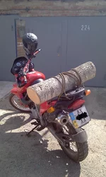 IMAG0587.webp