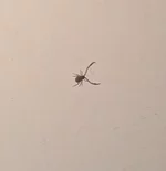 20130523_195240.webp