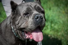 DSC_0749 - копия.webp