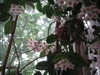 IMG_6298___.webp