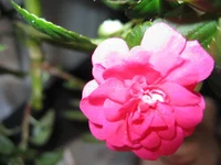 IMG_4856.webp