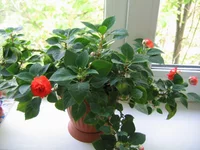 IMG_4859.webp