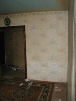 IMG_0588.jpg