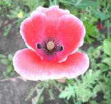  4.webp