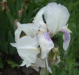  4.webp