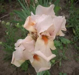  5.webp
