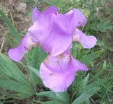  10.webp