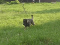 P1100102.webp