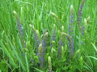 IMG_1686.webp