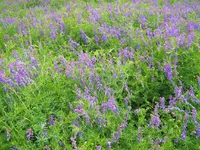 IMG_1700.webp