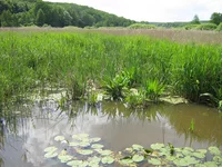 IMG_1774.JPG