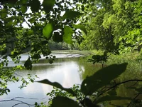 IMG_1783.webp