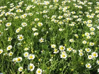 IMG_1789.webp