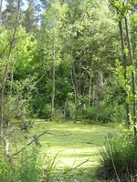 IMG_1816.JPG
