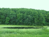 IMG_1820.webp