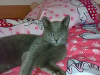 03112010118.webp