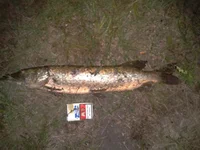 2013-05-27 22.48.36.webp